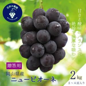 岡山 花笑み農園の『ニューピオーネ』贈答用 約2kg(3〜4房) P-2[9月上旬〜順次発送][配送不可地域:離島・北海道・沖縄県]