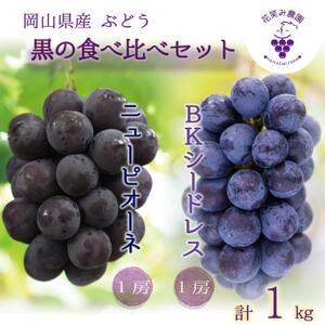 岡山 花笑み農園の『ニューピオーネ&BKシードレス』1kg(2房)PB-1 [9月中旬〜順次発送][配送不可地域:離島・北海道・沖縄県]