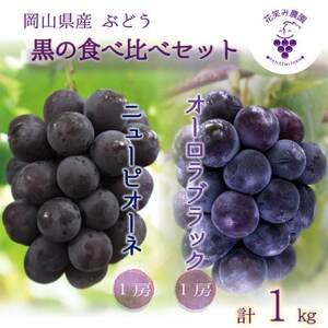 岡山 花笑み農園の『ニューピオーネ&オーロラブラック』1kg(2房) PA-1[9月上旬〜順次発送][配送不可地域:離島・北海道・沖縄県]
