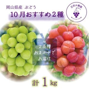 岡山 花笑み農園のブドウ『10月おすすめ 2種セット』(2房)2M-1L[10月〜順次発送][配送不可地域:離島・北海道・沖縄県]