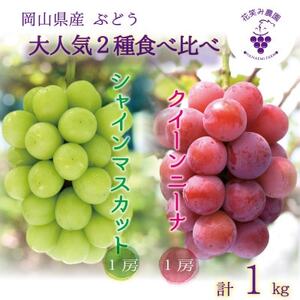 岡山 花笑み農園の『クイーンニーナ&シャインマスカット』1kg QS-1 [9月中旬〜順次発送][配送不可地域:離島・北海道・沖縄県]