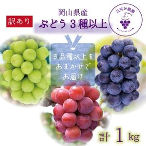 岡山 花笑み農園のブドウ『訳ありMIX3種以上』1kg W3M-1[配送不可地域:離島・北海道・沖縄県]