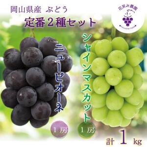 岡山 花笑み農園の『ニューピオーネ&シャインマスカット』1kg(2房)PS-1[9月中旬〜順次発送][配送不可地域:離島・北海道・沖縄県]