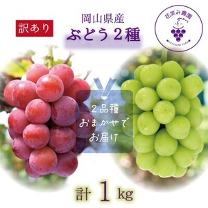 岡山 花笑み農園の『訳あり2種MIX』ブドウ1kg W2M-1[9月中旬〜順次発送][配送不可地域:離島]