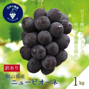 岡山 花笑み農園の 『訳ありニューピオーネ』1kg WP-1[配送不可地域:離島]