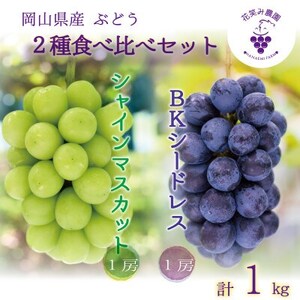 岡山 花笑み農園『シャインマスカット&BKシードレス』1kg(2房)BS-1 [9月下旬〜順次発送][配送不可地域:離島]