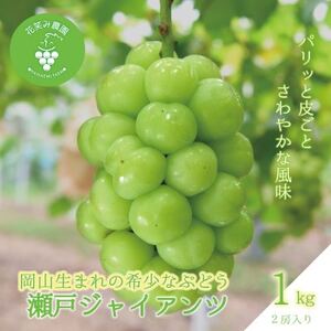 岡山 花笑み農園のブドウ『瀬戸ジャイアンツ』1kg(2房) G-1[9月下旬〜順次発送][配送不可地域:離島]