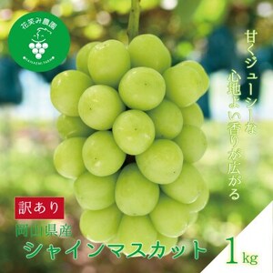 岡山 花笑み農園『訳ありシャインマスカット』1kg WS-1[配送不可地域:離島]