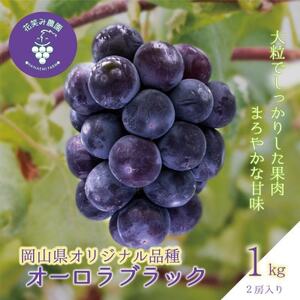 岡山 花笑み農園のブドウ『オーロラブラック』1kg(2房) A-1[9月上旬〜順次発送][配送不可地域:離島]
