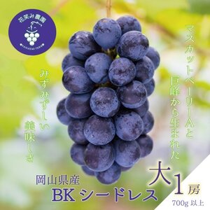 岡山 花笑み農園のブドウ『BKシードレス』700g以上(大1房) B-大1[9月中旬〜順次発送][配送不可地域:離島]