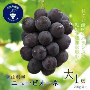 岡山 花笑み農園の『ニューピオーネ』700g以上(大1房) P-大1[9月上旬〜順次発送][配送不可地域:離島]