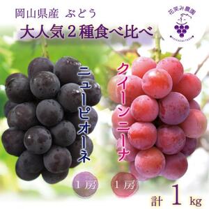 岡山 花笑み農園の『ニューピオーネ&クイーンニーナ』1kg(2房) PQ-1[9月中旬〜順次発送][配送不可地域:離島]