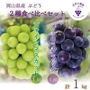 岡山 花笑み農園の『オーロラブラック&シャインマスカット』1kg AS-1 [9月中旬〜順次発送][配送不可地域:離島]