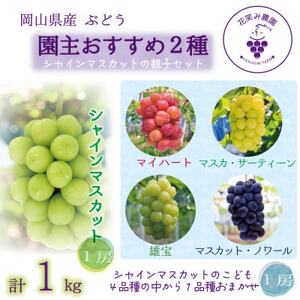 岡山 花笑み農園『園主おすすめぶどう2種セット』〜シャインの親子セット〜 2M-1SR 9月中下旬〜[配送不可地域:離島]
