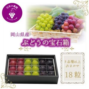 岡山 花笑み農園『ブドウの宝石箱』3種以上(18粒入り) 3M-宝18[9月中旬〜発送][配送不可地域:離島]