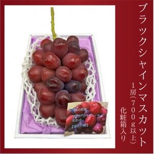 岡山県産 ブラックシャインマスカット 1房(700g以上) 化粧箱入り[配送不可地域:離島・北海道・沖縄県]