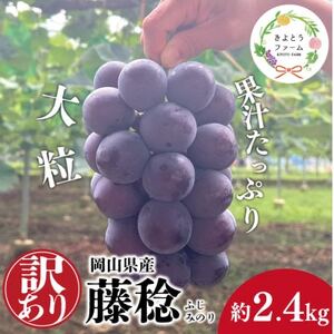 [きよとうファーム]訳あり 種なし ボッケーネ(藤稔) 約2.4kg (岡山県産)[配送不可地域:離島]
