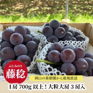 [きよとうファーム]ボッケーネ(藤稔)ずっしり大房の満足便! 3房入(1房700g〜)(岡山県産)[配送不可地域:離島]