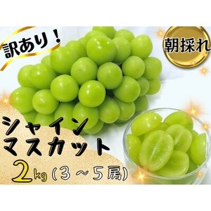 y2026Nstzt[cRVC}XJbg2kg!@̂Ԃǂ3`5[yzsnFzy1633324z
