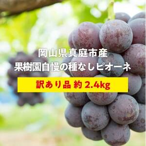 [きよとうファーム]訳あり品 種なしで甘い葡萄の王様「ピオーネ」 /約2.4kg(岡山県産)[配送不可地域:離島]