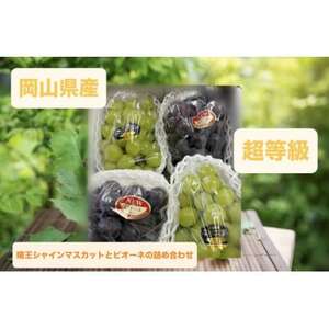 ピオーネ2房とシャイン2房 2kg箱[配送不可地域:離島・北海道・沖縄県・東北・関東・信越、北陸]