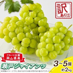 [訳あり]朝採り新鮮!人気ぶどう瀬戸ジャイアンツ2kg[配送不可地域:離島]