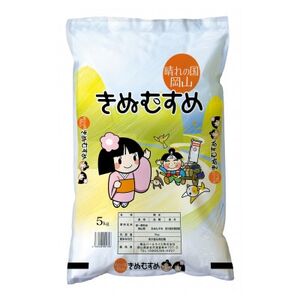 yVIizRYʂނ10kg(5kg×2)y1552580z