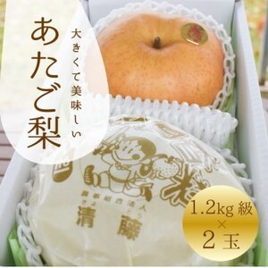 yƂt@[z ㋉i 2ʓ(1.2kg/)(RY)y1559963z