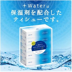 エリエール+Waterティシュー180W5P【1681084】