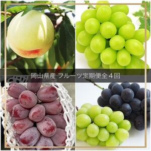 �y�������Œ����ցz���R���Y  �t���[�c����֑S4��y�z���s�n��F�����z�y4076456�z