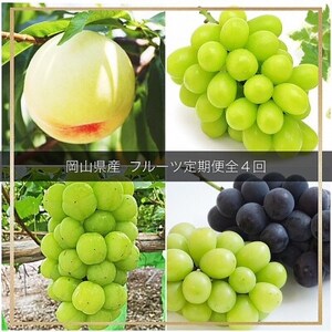 �y�������Œ����ցz���R���Y  �t���[�c����֑S4��y�z���s�n��F�����E�k�C���E���ꌧ�z�y4077003�z