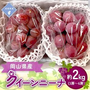 �y��s�\�� 2026�N�����z���R���Y�@�N�C�[���j�[�i�@3�[�`6�[(���v��2kg)�y�z���s�n��F�����z�y1562295�z