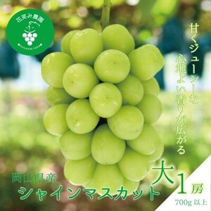 �y2026�N��s��t�z���R�@�ԏ΂ݔ_���́w�V���C���}�X�J�b�g�x700g�ȏ�(��1�[)S-��1�y�z���s�n��F�����z�y1695384�z