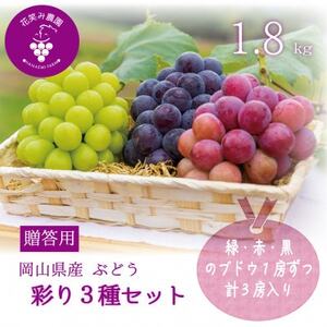 �y2026�N��s��t�z���R�@�ԏ΂ݔ_���̃u�h�E�w�ʂ�3��Z�b�g�x�����p�@1.8kg(3�[)3M-2��y�z���s�n��F�����z�y1695393�z