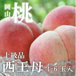 �y2026�N��s�\��z���_�̖������󏭂ȔӐ����A������(�㋉�i)4-6�ʓ�(���R���Y)�y�z���s�n��F�����z�y1696629�z