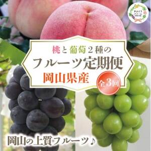 �y�������Œ����ցz�y2026�N��s�\��z���A�s�I�[�l�A�V���C���}�X�J�b�g����� (���R���Y)�S3��y�z���s�n��F�����z�y4078169�z