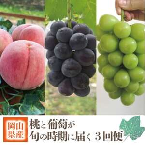 [発送月固定定期便][2026年先行予約]旬採り桃とピオーネ、シャインマスカットが届く/岡山産全3回[配送不可地域:離島]