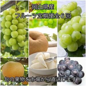 �y�������Œ����ցz���R���Y  �t���[�c����֑S6��y�z���s�n��F�����z�y4078577�z