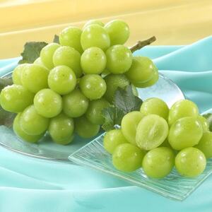 岡山県産 秋のシャインマスカット 1房[冷蔵]2026年発送[配送不可地域:離島・北海道・沖縄県]