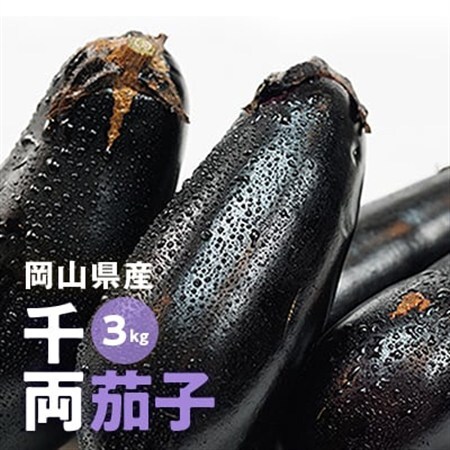 [2026年7月以降発送]なす栽培歴50年の大ベテランが育てた『朝採れ茄子』 3kg