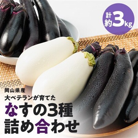 [2026年7月以降発送]なす栽培歴50年の大ベテランが育てた"なすの詰め合わせセット約3kg " 
