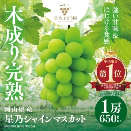 [三つ星ブランド]星乃シャインマスカット 数量限定 (岡山県産) 1房(650g以上)[配送不可地域:離島・北海道・沖縄県]