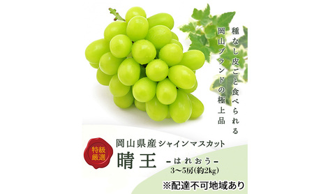 ぶどう 2024年 先行予約 シャインマスカット晴王 3〜5房 (約2kg) ブドウ 葡萄 岡山県産 国産 フルーツ 果物 ギフト