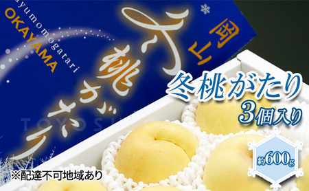 桃 2024年 先行予約 岡山県産 白桃 冬桃がたり 3個入り 約600g もも モモ 岡山県産 国産 フルーツ 果物 ギフト