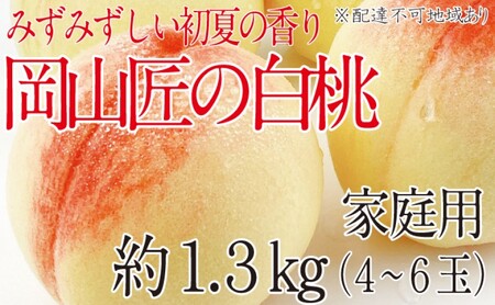 もも 2025年 先行予約 岡山匠の白桃 約1.3kg 4〜6玉 犬塚農園 岡山県産 清水白桃 桃 モモ 家庭用 初夏 みずみずしい