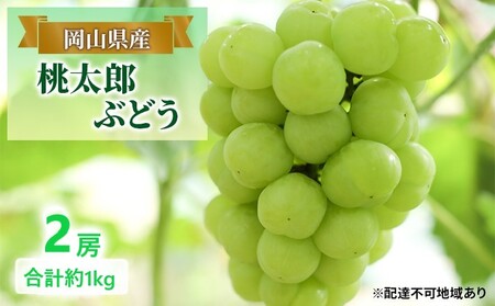 ぶどう [2025年 早期受付] 桃太郎ぶどう 2房 合計約1kg ブドウ 葡萄 岡山県産 国産 フルーツ 果物 ギフト