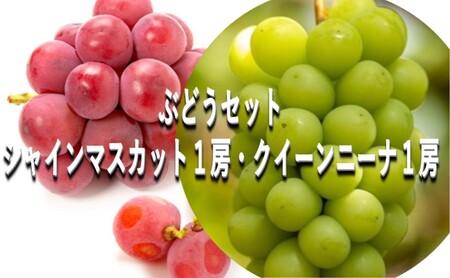 ぶどう [2025年 早期受付] ぶどうセット シャインマスカット 1房・ クイーンニーナ 1房(合計約1kg) ブドウ 葡萄 岡山県産 国産 フルーツ 果物 ギフト