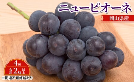 Ԃǂ y2026N s\z j[ sI[l 4[ v2kgȏ uhE  RY Y t[c ʕ Mtg