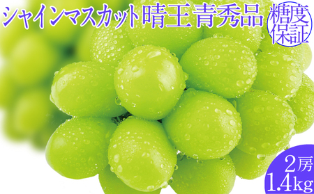 2026�N�\���t�� �V���C���}�X�J�b�g���� 7���`8���o�� 2�[ ��1.4kg  �l�C ���R���Y �햳�� �炲�ƐH�ׂ� �݂��݂�����  �t���b�V�� ����̍� ������� �ʕ��卑 �n���m�t���[�c