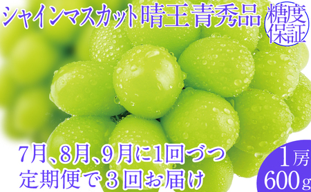 2025年予約受付中[3回定期便]シャインマスカット晴王 1房 約600g 7月8月9月に出荷 人気 岡山県産 種無し 皮ごと食べる みずみずしい おかやま 果物大国 ハレノフルーツ